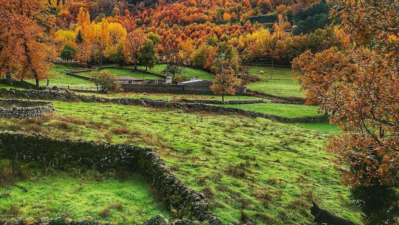 Aroma De Primavera En Casas Rurales Acebuche Casas del Monte Buitenkant foto