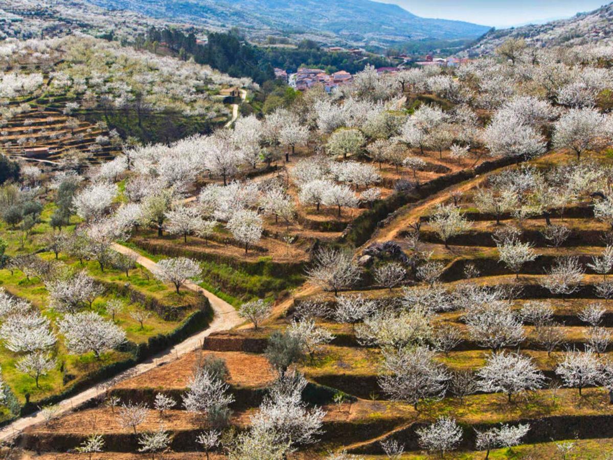 Aroma De Primavera En Casas Rurales Acebuche Casas del Monte Buitenkant foto