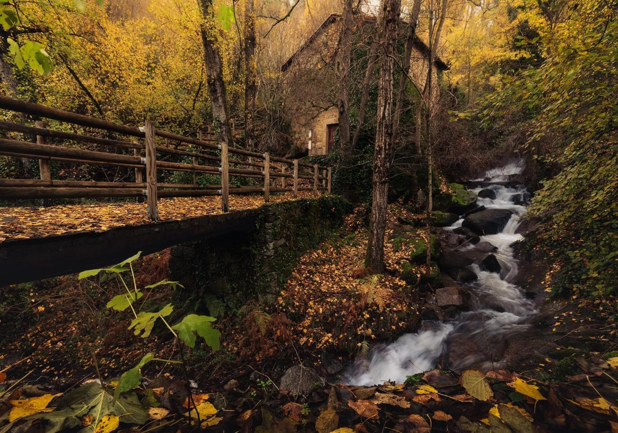 Aroma De Primavera En Casas Rurales Acebuche Casas del Monte Buitenkant foto