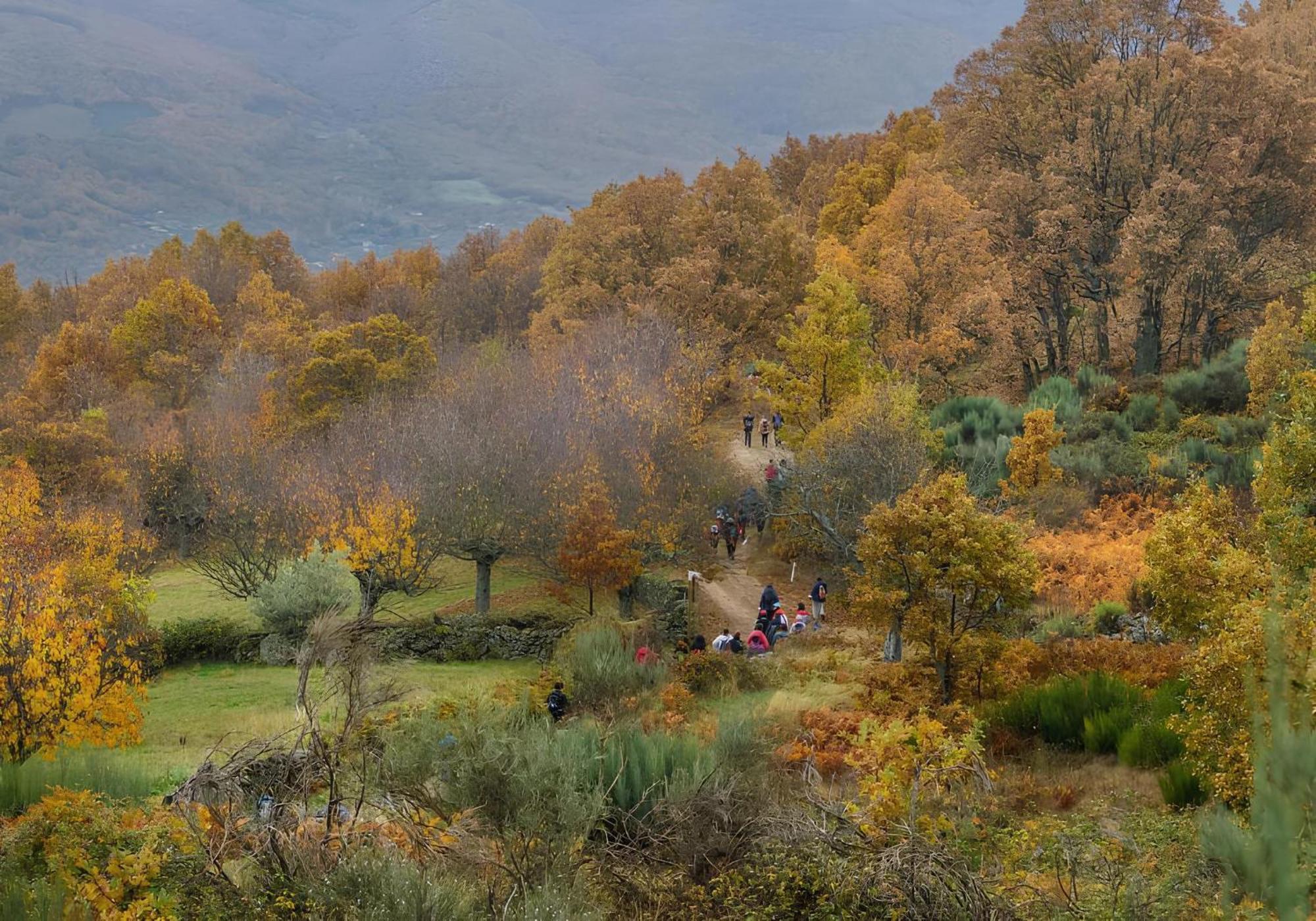 Aroma De Primavera En Casas Rurales Acebuche Casas del Monte Buitenkant foto